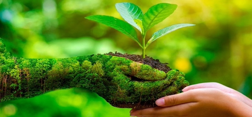 Tujuan dan Peran Website dlhbengkulu.id bagi Masyarakat dalam Pelestarian Lingkungan Hidup