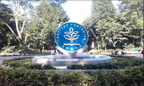 Simulasi Seleksi Ujian Masuk IPB melalui Kelompok Soal Tryout.id