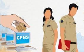 Strategi Belajar CPNS CASN untuk Pemula agar Cepat Memahami Materi Dasar