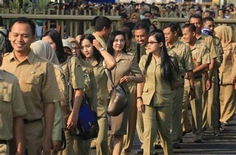 Belajar Terarah! Trik Efisien Fokus pada Materi Tryout CPNS di Tryout.id yang Sering Keluar di SKD