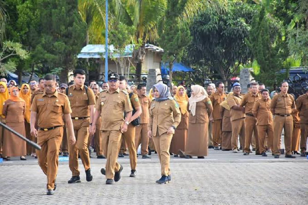 Formasi CPNS 2025: Analisis Peluang Lolos Berdasarkan Formasi yang Dipilih