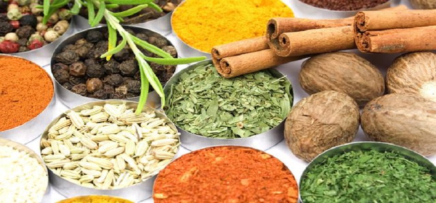 Spices Route Supplier Rempah-Rempah dan Kopi Terbaik dan Terpercaya dari Indonesia