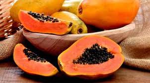 Waspada Saat Memakan Pepaya Saat Mempunyai Kondisi Tubuh Seperti Ini!