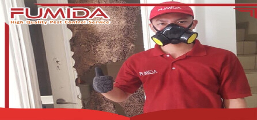 Fumida Jasa Basmi Rayap Terpercaya dan Berkualitas