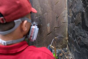 Rayap di Rumah: Kenali Tanda dan Cara Mencegah Kerusakannya